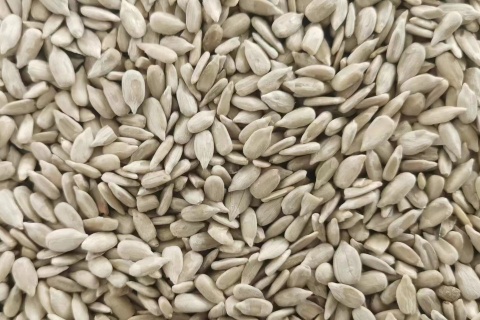 sunflower seeds