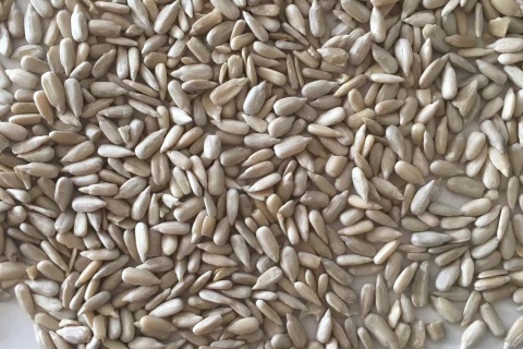 sunflower seeds