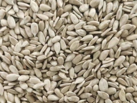 sunflower seeds